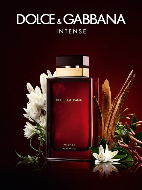 dolce gabbana felp g9ip7thp7qd1|dolce gabbana intense neroli.